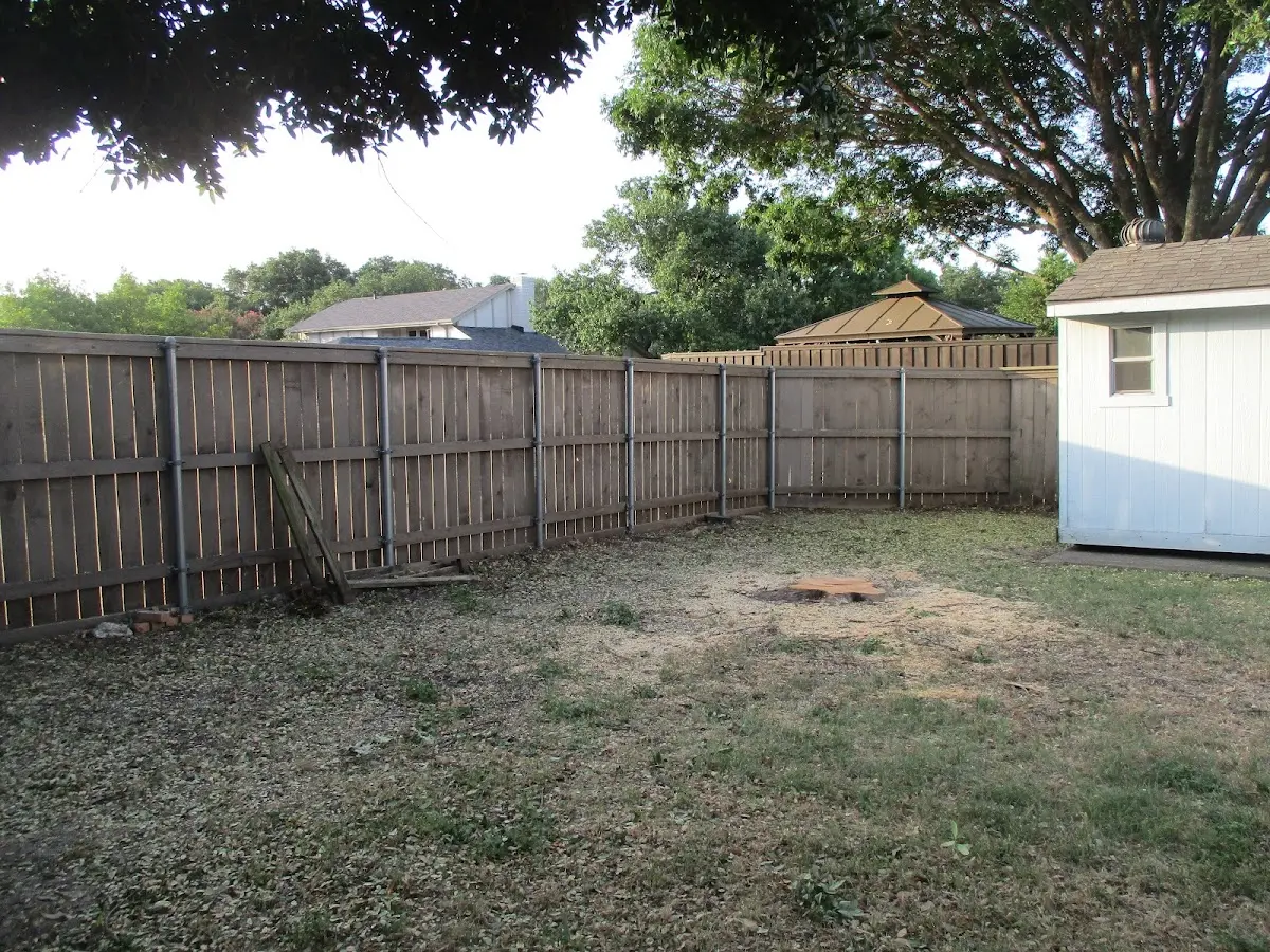 Cleared yard after professional tree removal in Glen Ridge