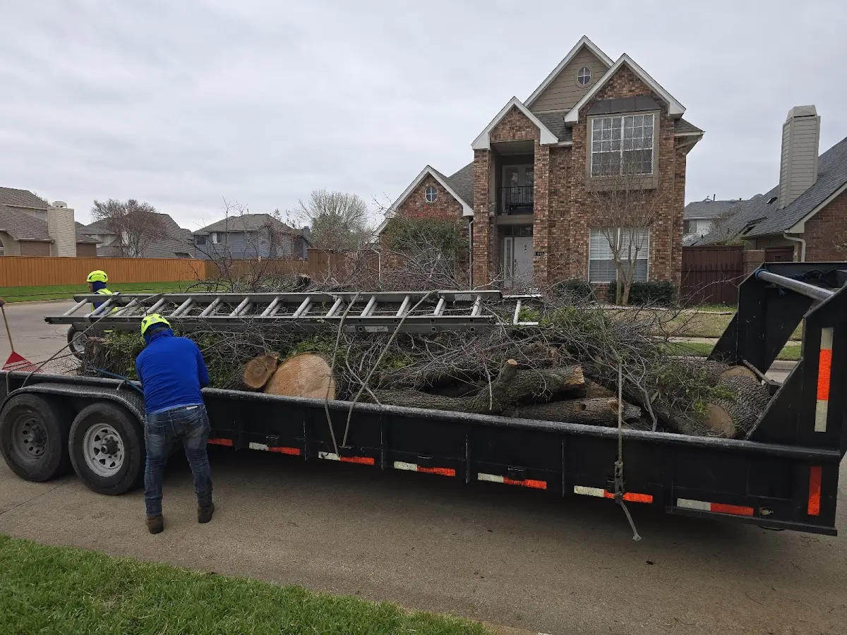 Expert Tree Pest Control with proper safety equipment in Glen Ridge